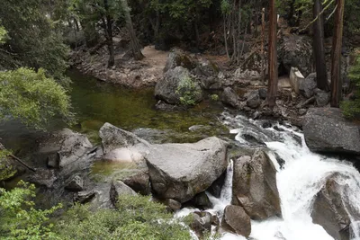 DSC_4686 (Large).JPG